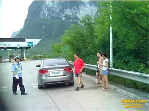 索溪峪汽车驿站收费多少